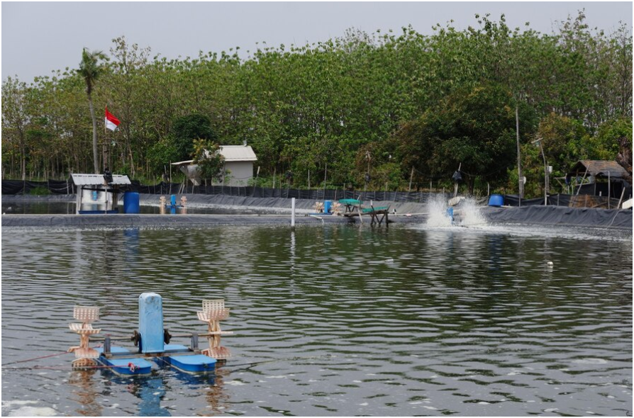 pompa celup kolam ikan