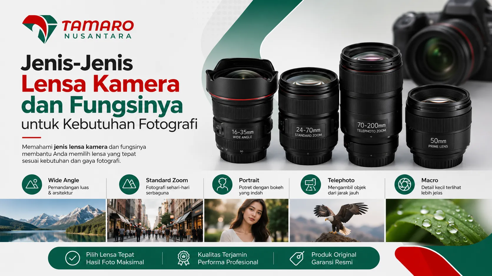 Jenis-Jenis Lensa Kamera dan Fungsinya untuk Kebutuhan Fotografi - Mountain