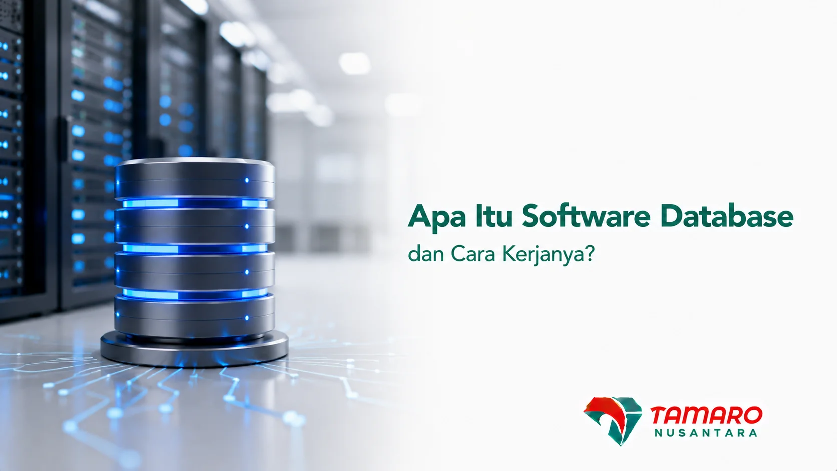 Software database enterprise sebagai fondasi pengelolaan data terpusat dalam infrastruktur IT perusahaan.